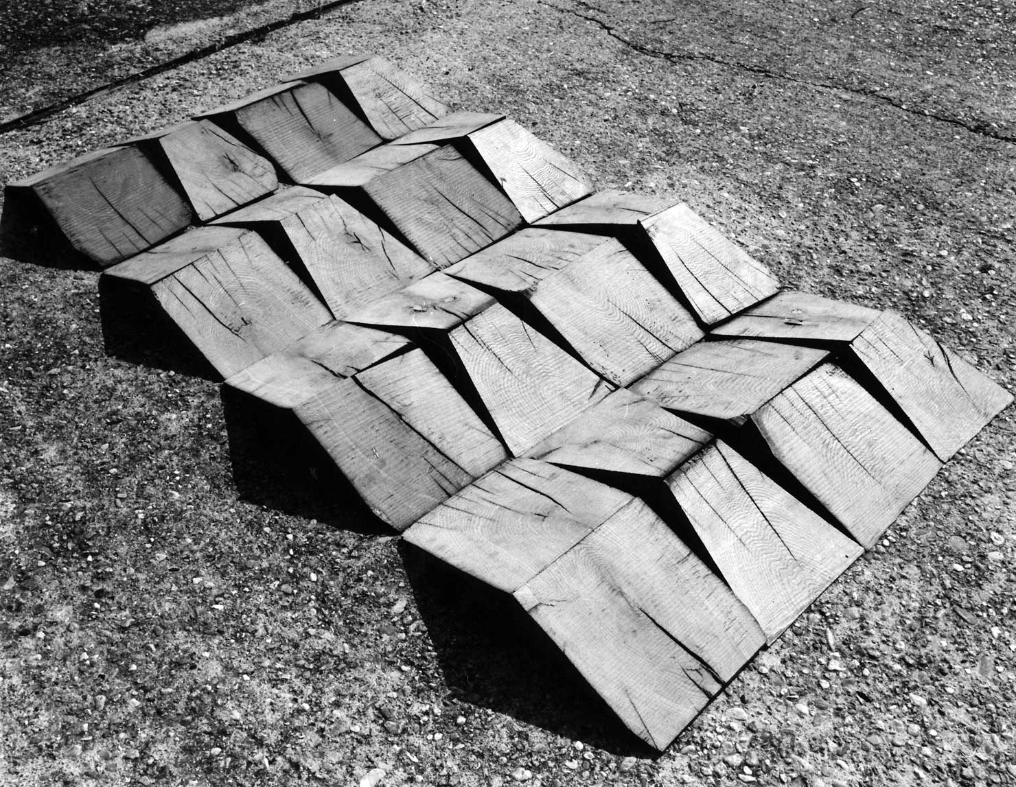 Lascito Brancusi, Eredi Brancusi, tra verità e finzione