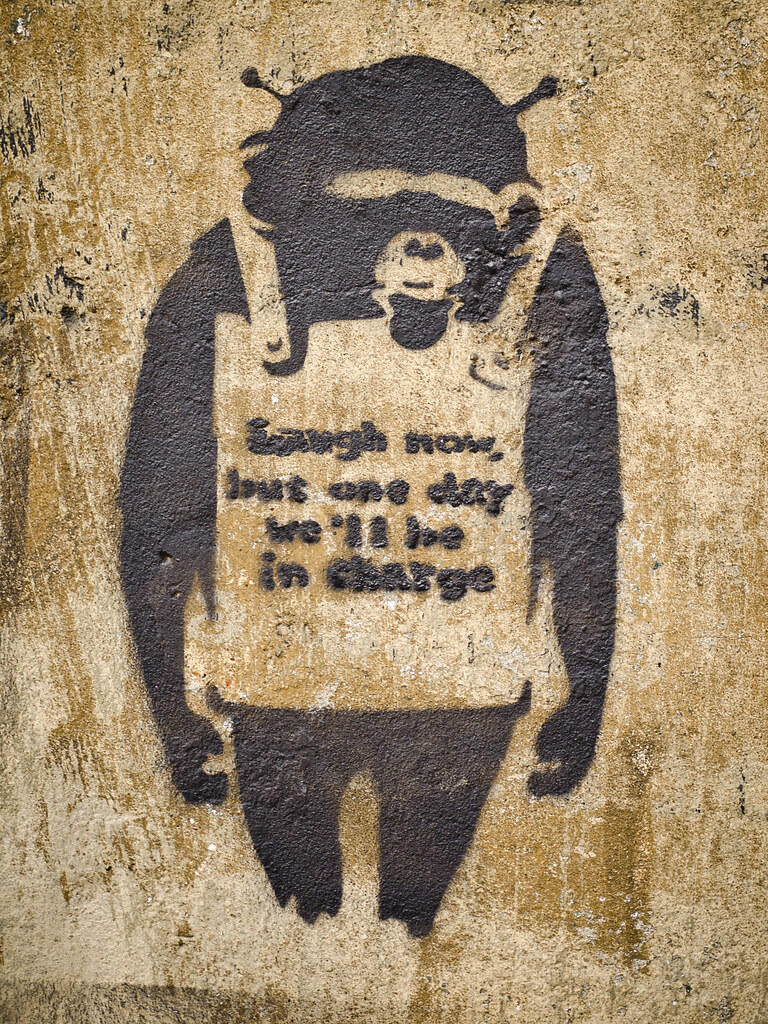 “One day we’ll be in charge”. E quel giorno è oggi. Una rivoluzione culturale e giuridica: la tutela dei diritti morali dei graffiti artist
